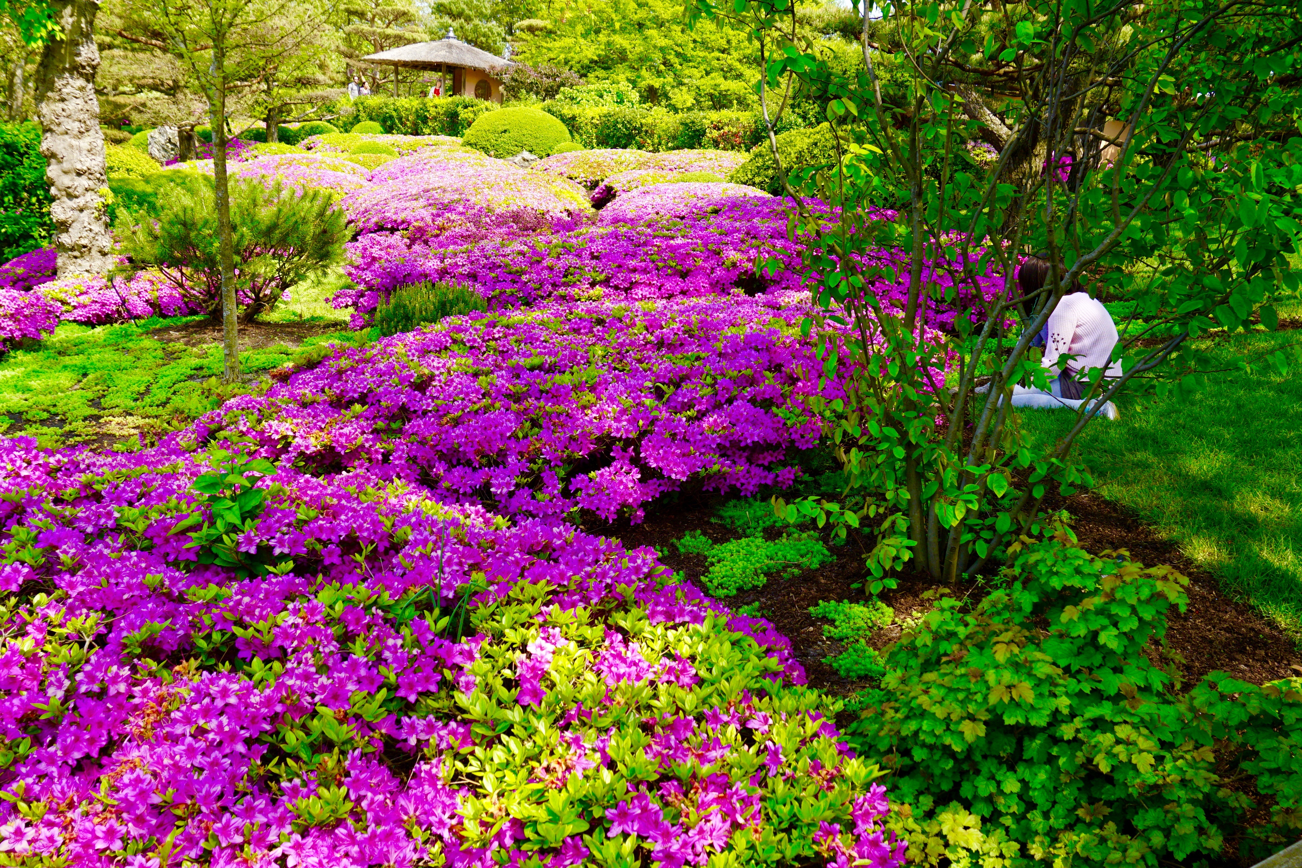 Botanic Garden Silent Retreat Journey Center of Chicago